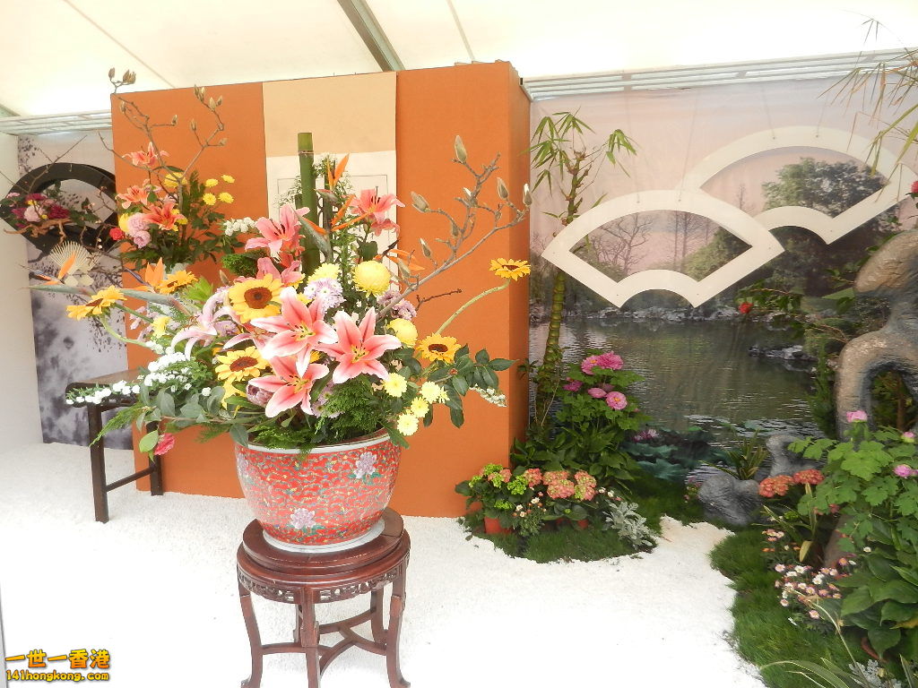 DSCN8609.JPG