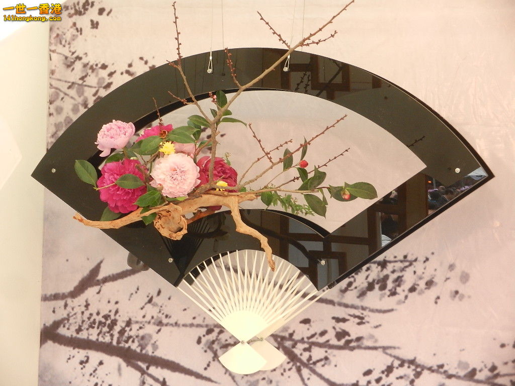 DSCN8610.JPG