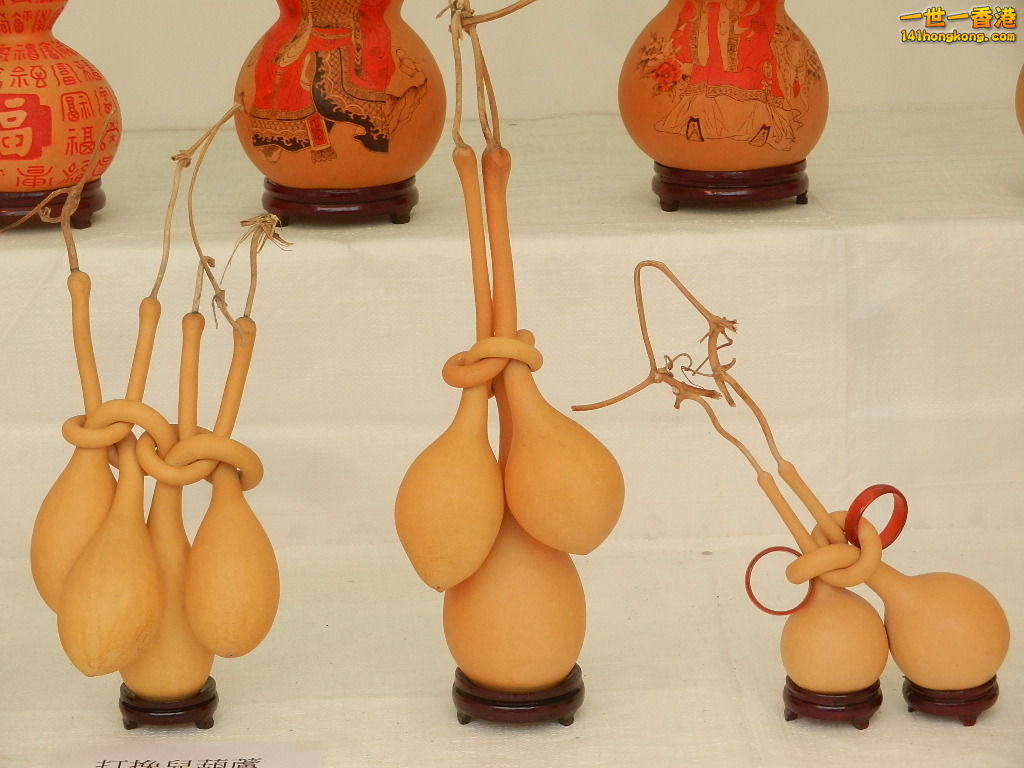 DSCN8613.JPG