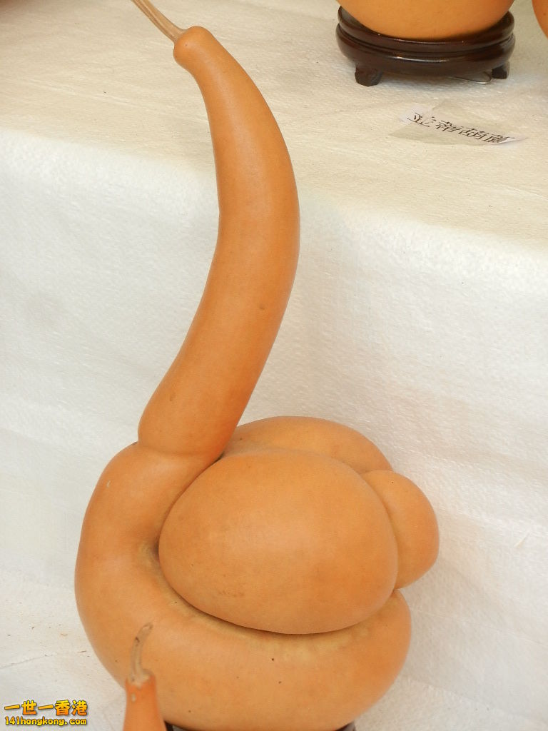 DSCN8614.JPG