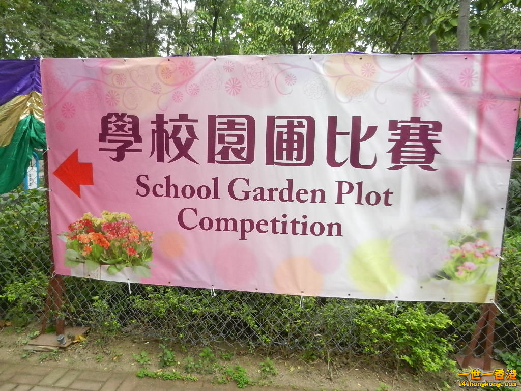 DSCN8644.JPG