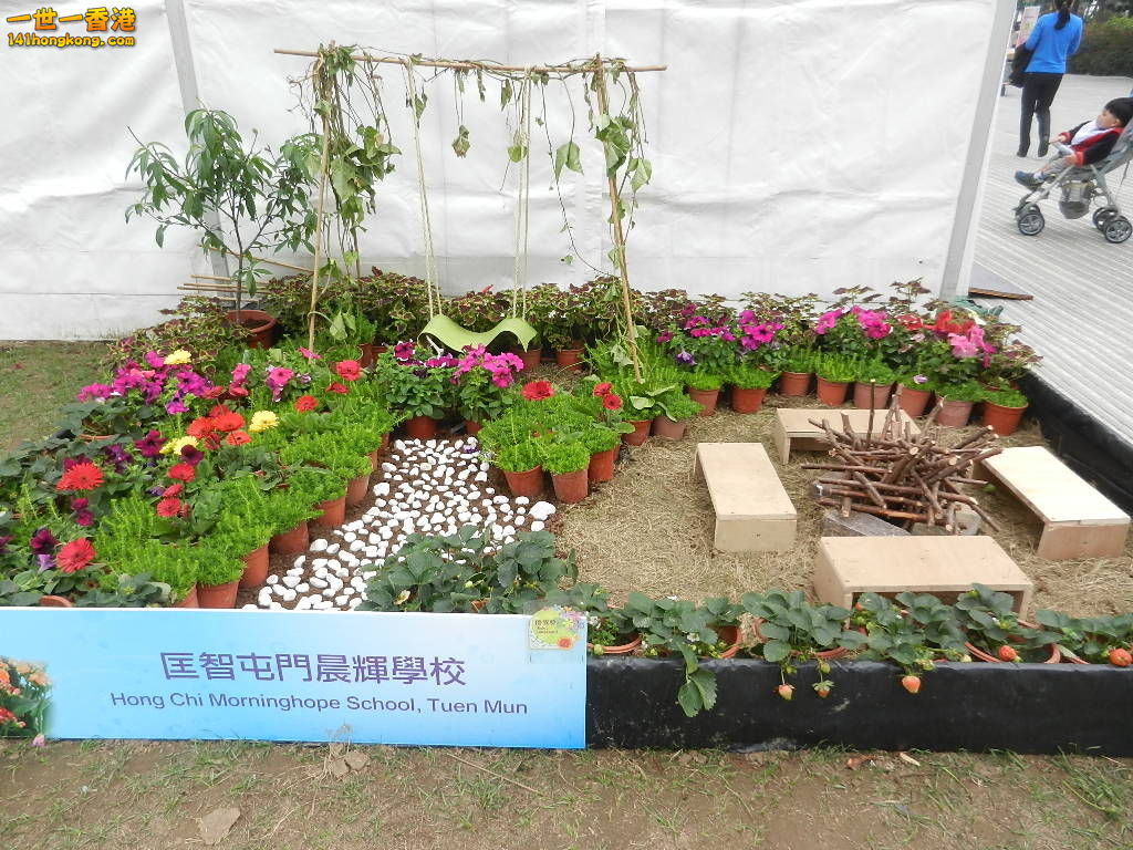 DSCN8645.JPG