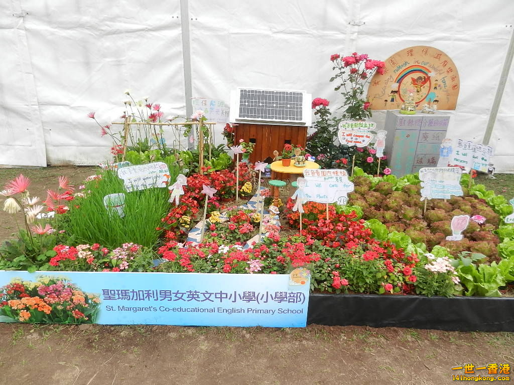 DSCN8646.JPG