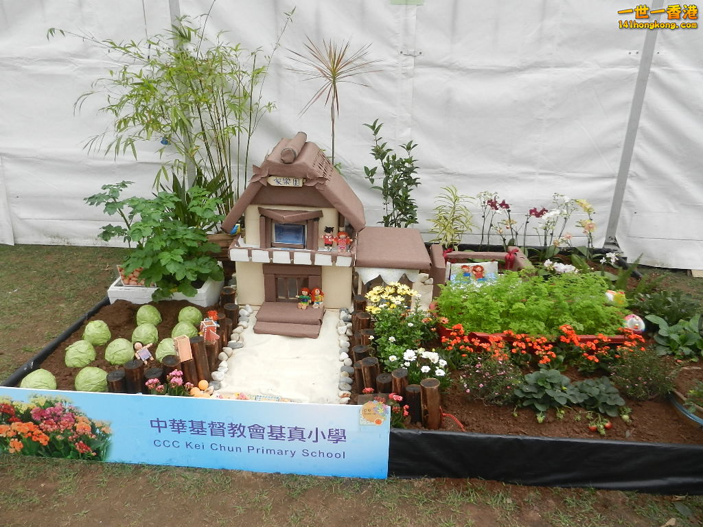 DSCN8647.JPG