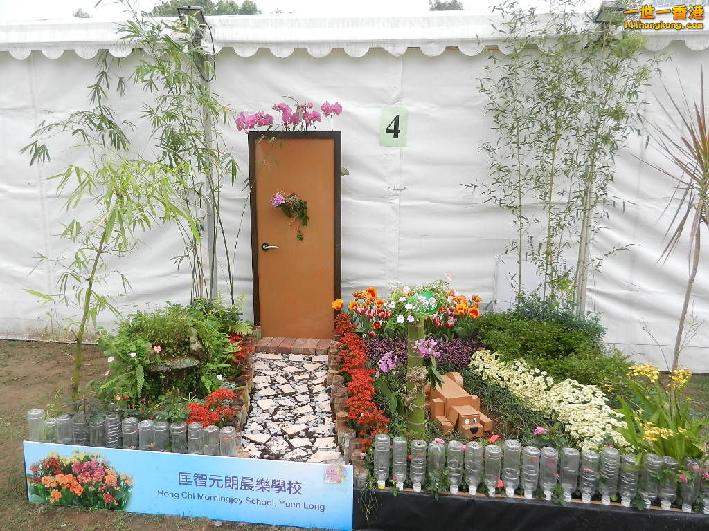 DSCN8648.JPG