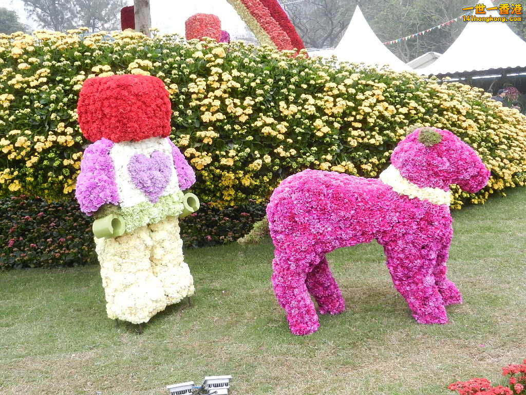 DSCN8732.JPG