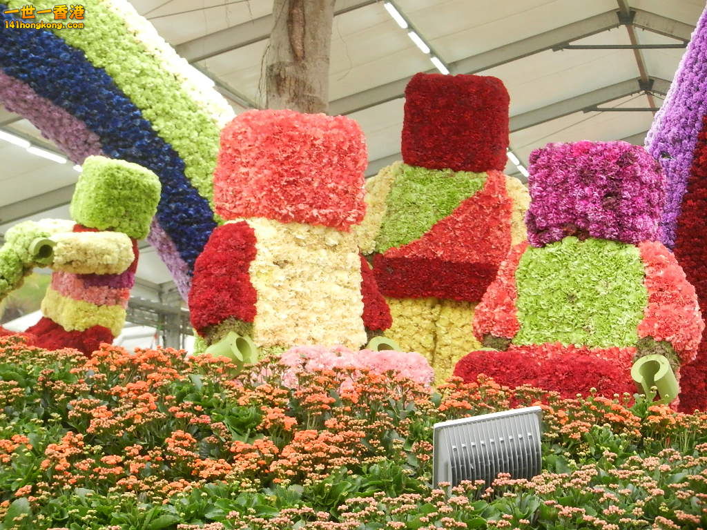 DSCN8733.JPG