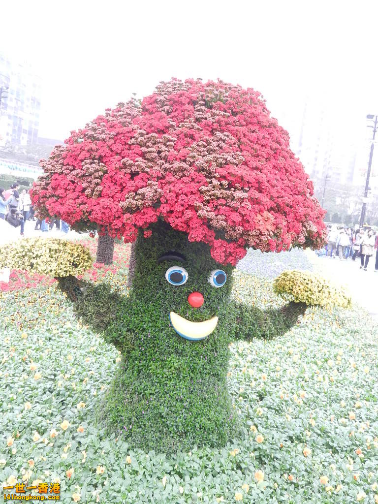 DSCN8735.JPG