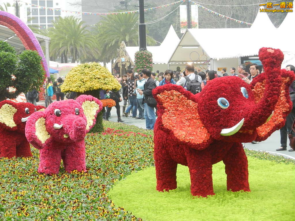 DSCN8737.JPG