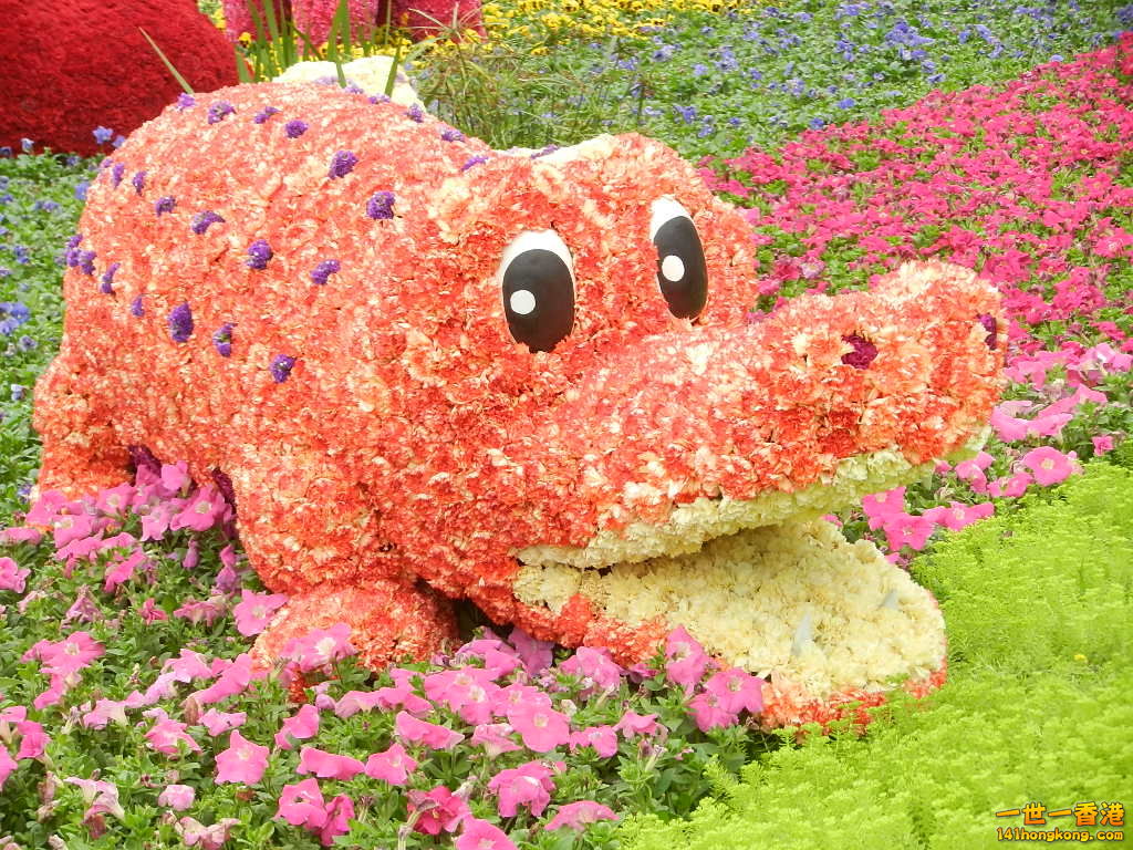 DSCN8738.JPG