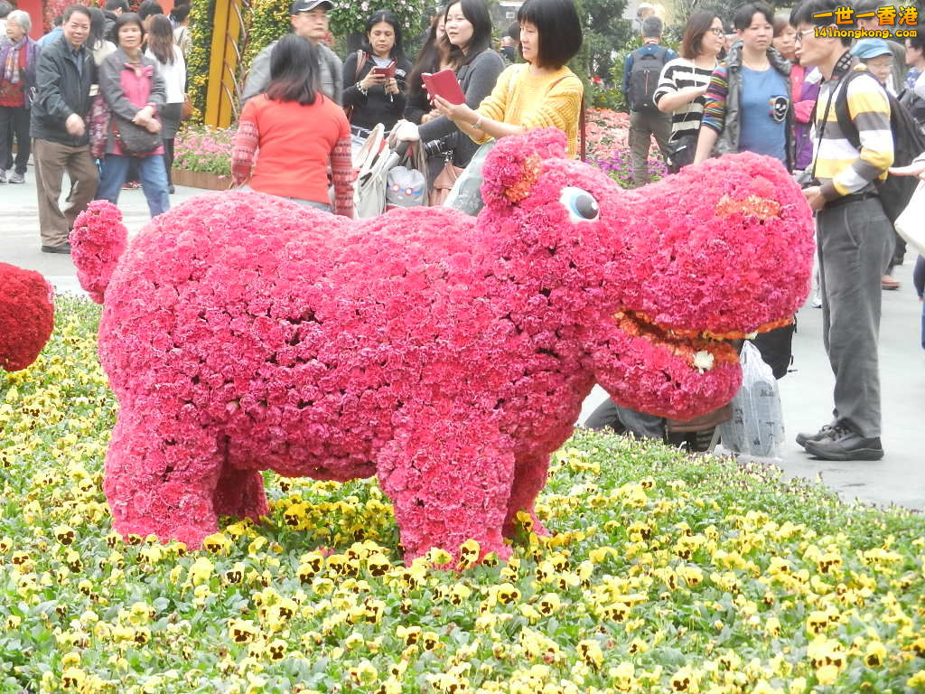 DSCN8741.JPG