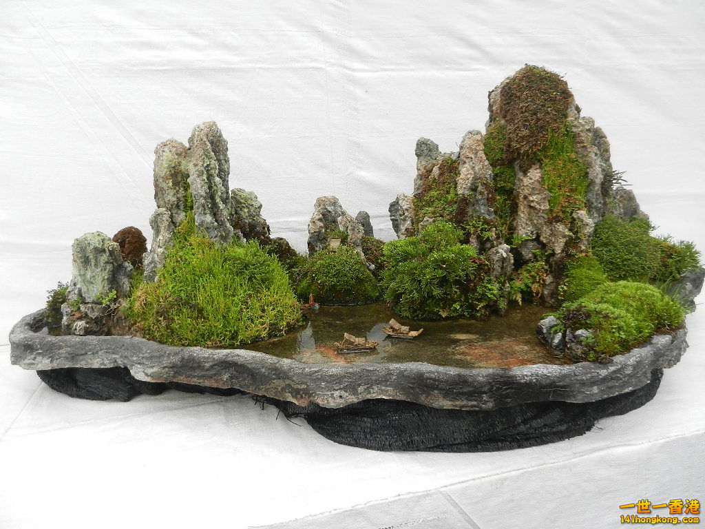 DSCN8623.JPG