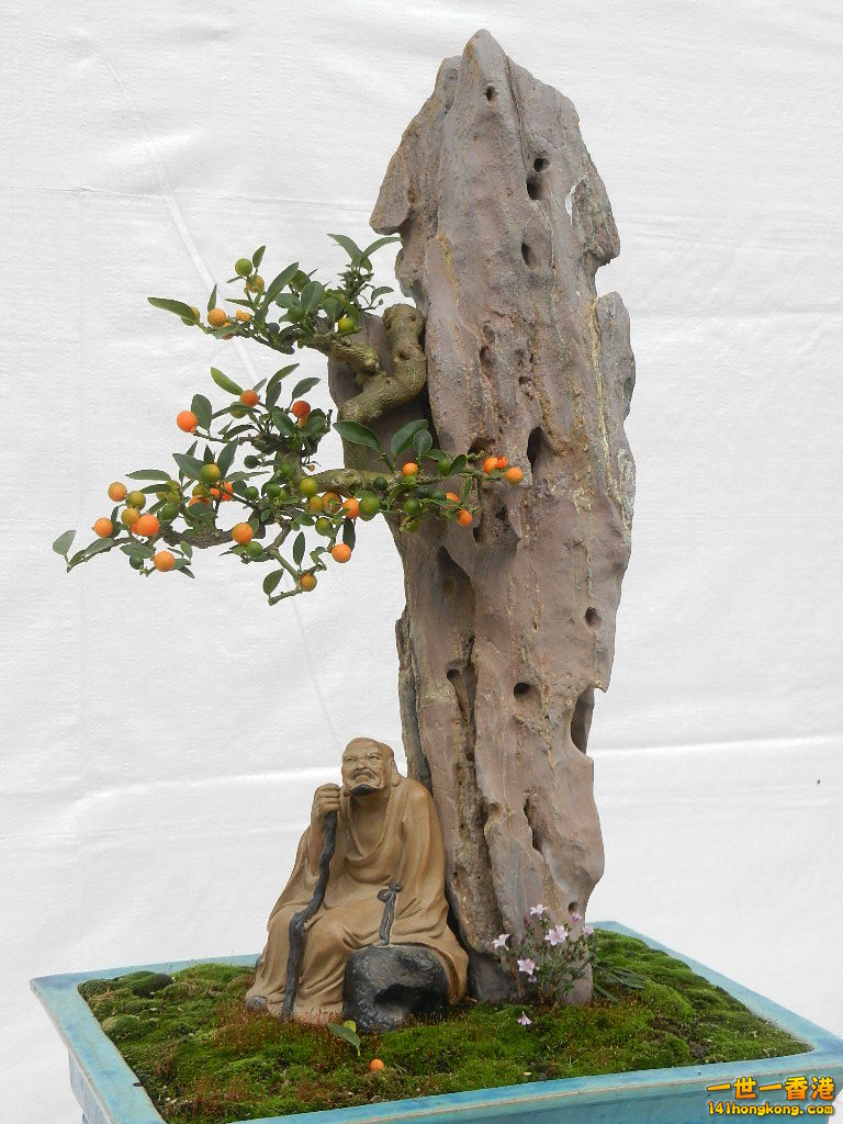 DSCN8628.JPG