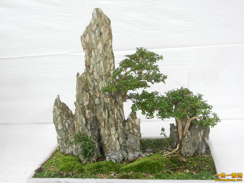 DSCN8634.JPG
