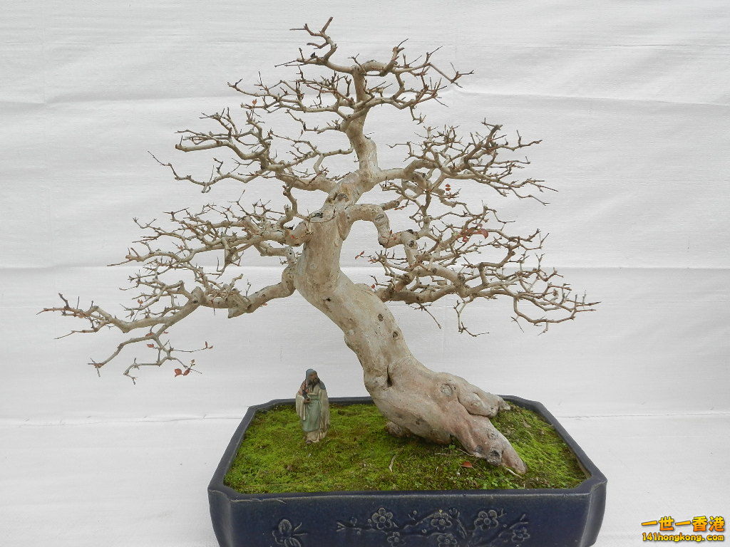 DSCN8636.JPG