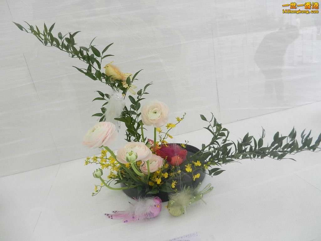 DSCN8651.JPG