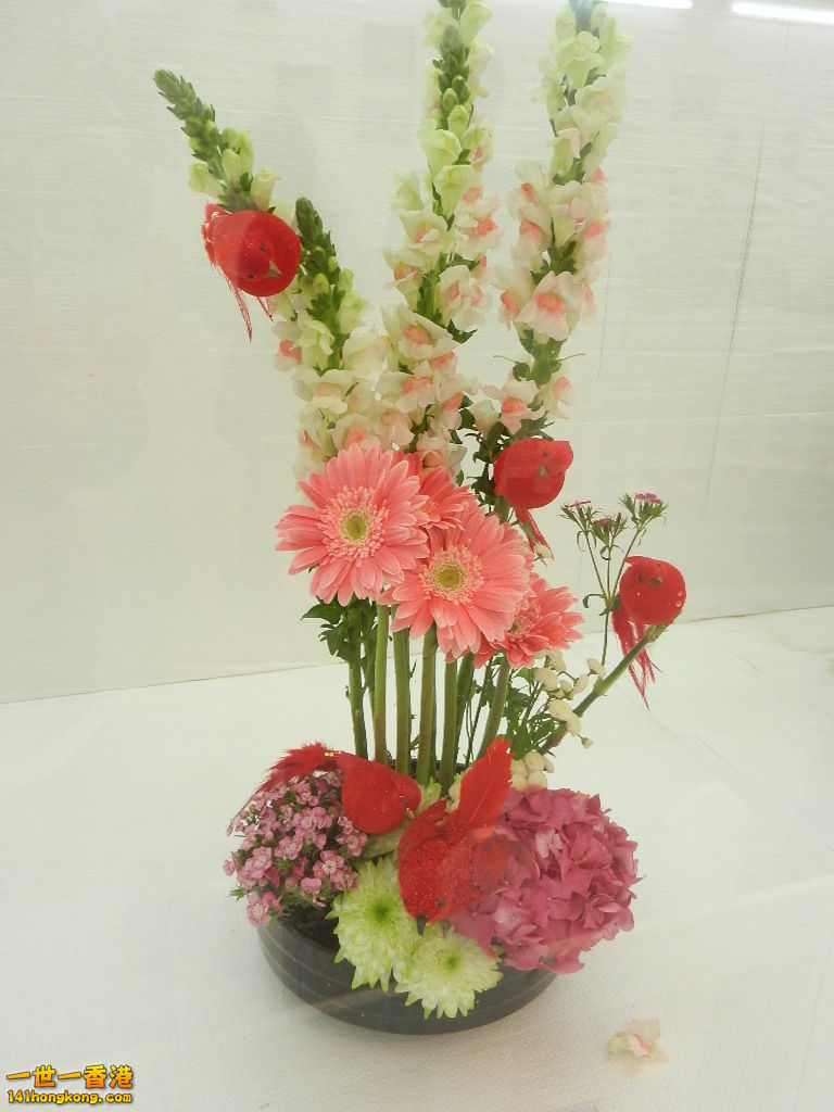 DSCN8653.JPG
