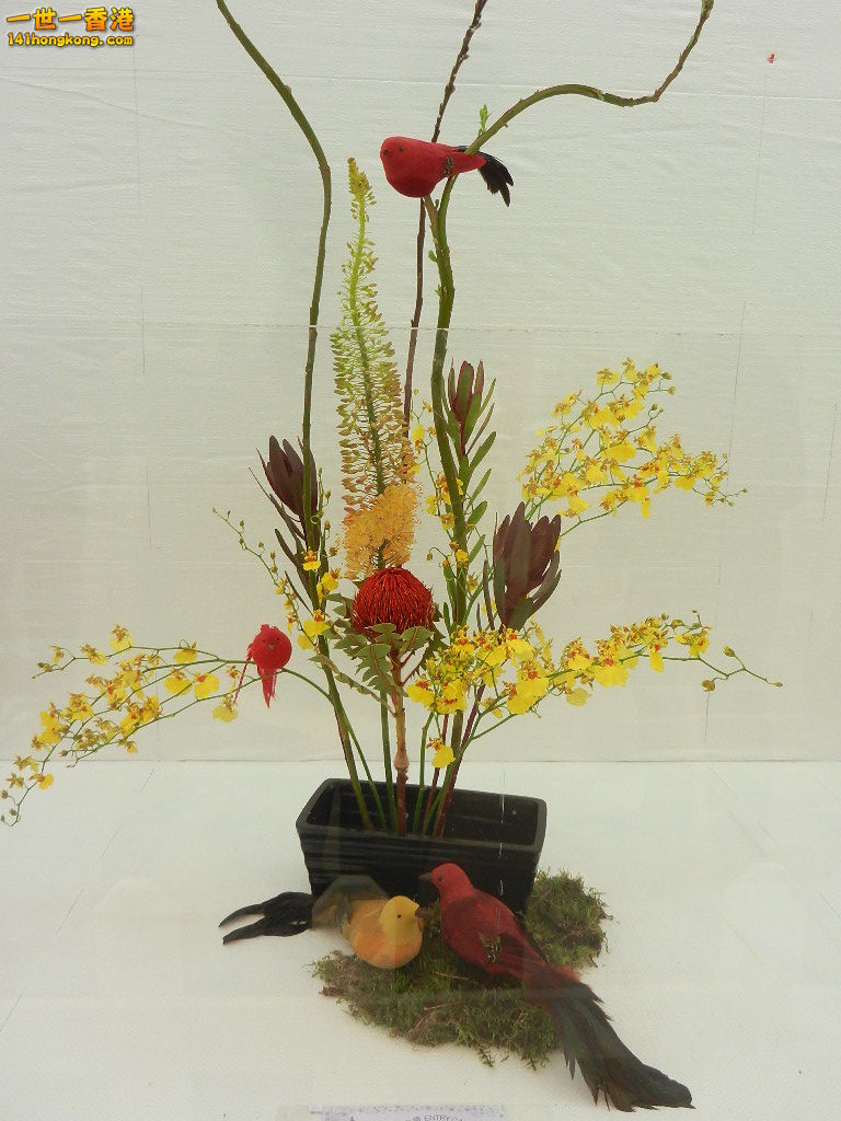 DSCN8654.JPG