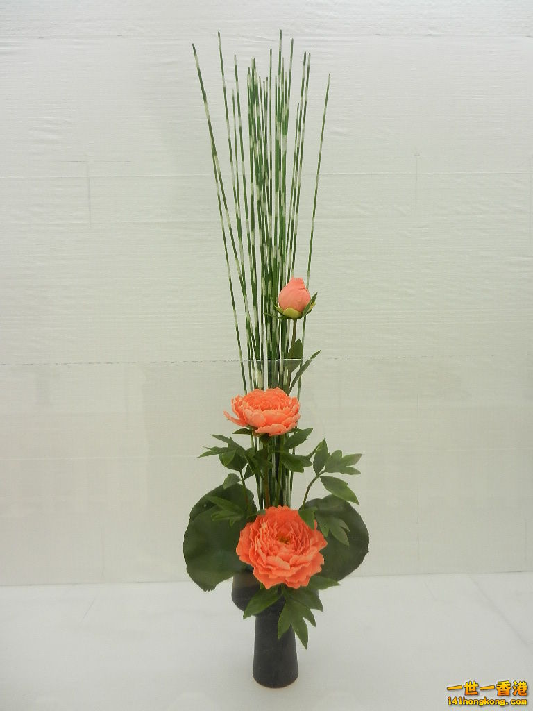DSCN8657.JPG