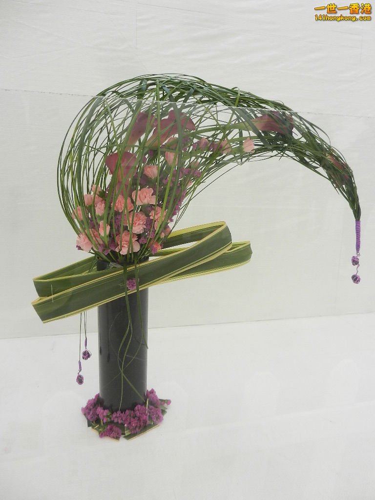 DSCN8658.JPG
