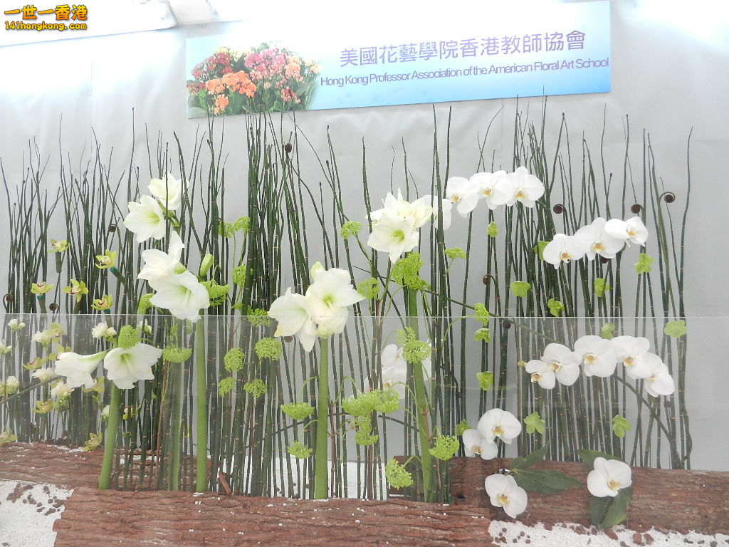 DSCN8664.JPG