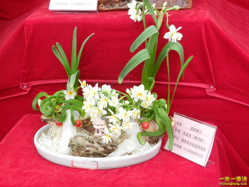 DSCN8615.JPG