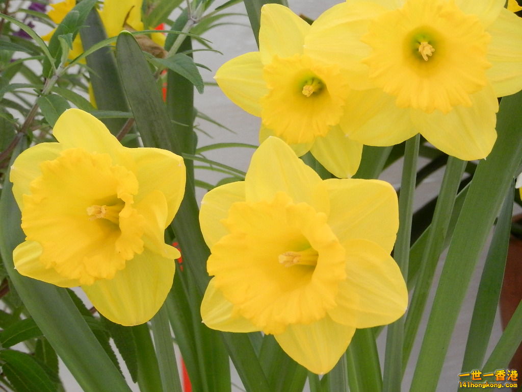 DSCN8671.JPG