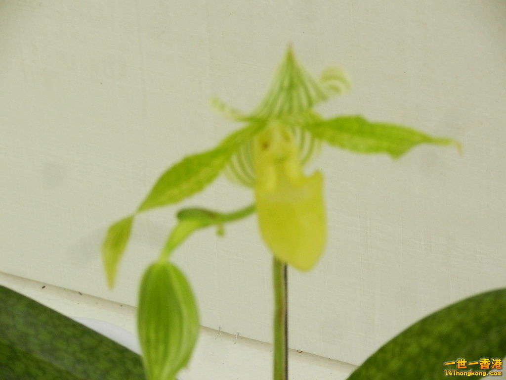 DSCN8691.JPG