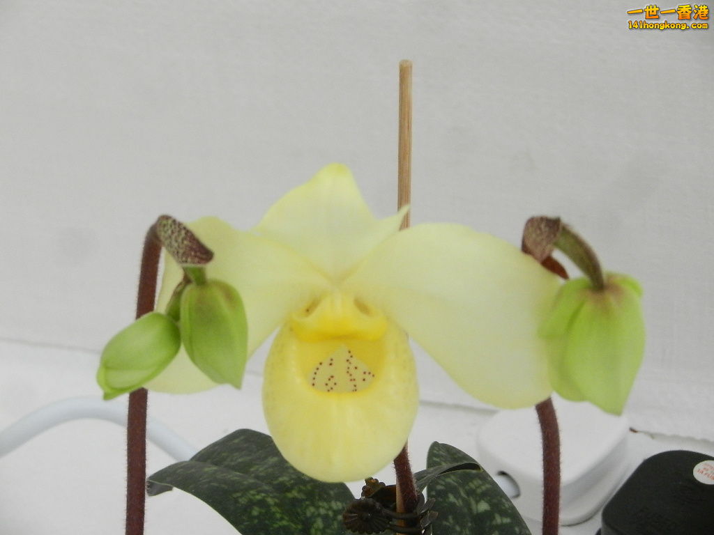 DSCN8692.JPG