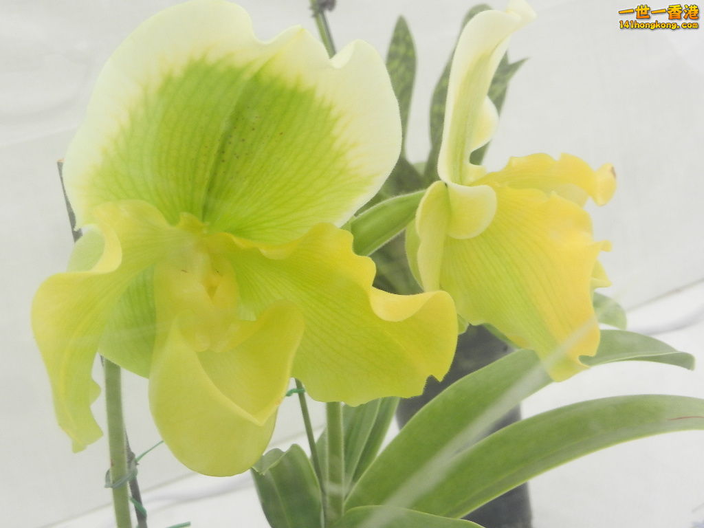 DSCN8695.JPG