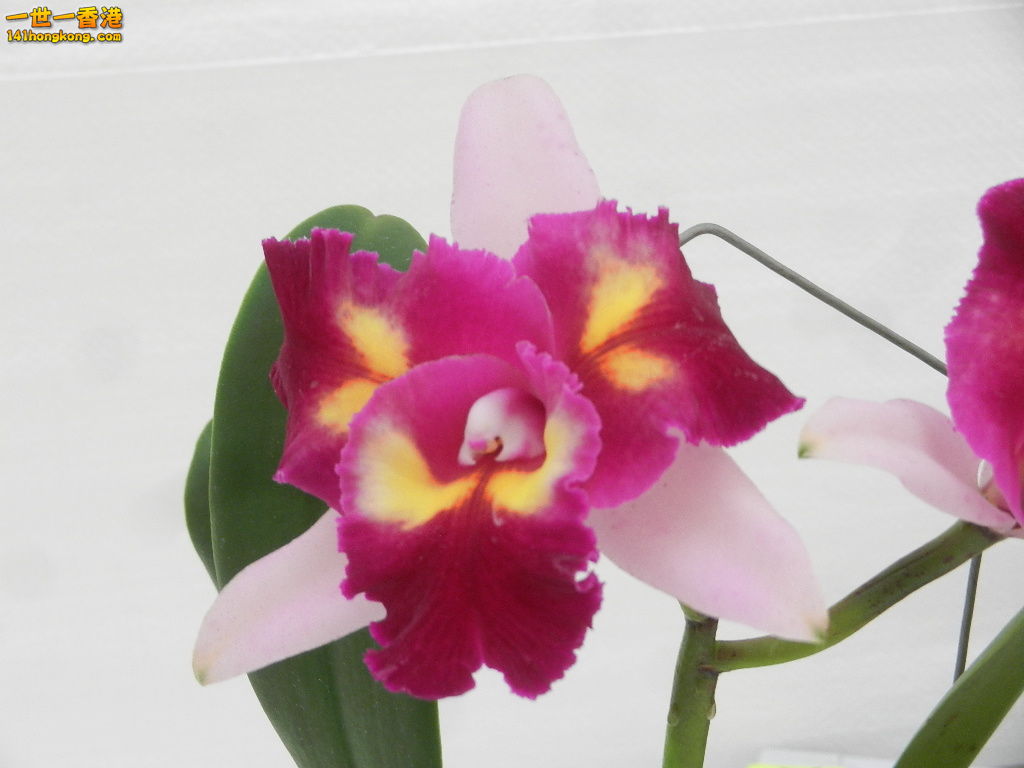 DSCN8707.JPG