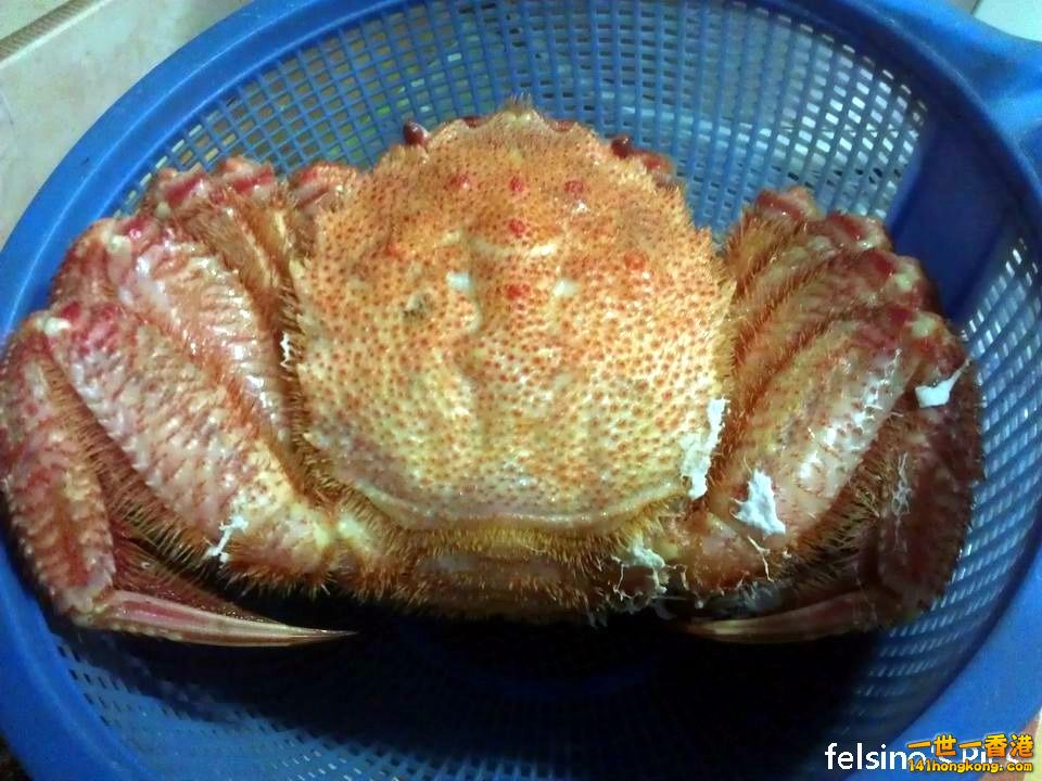蟹.jpg