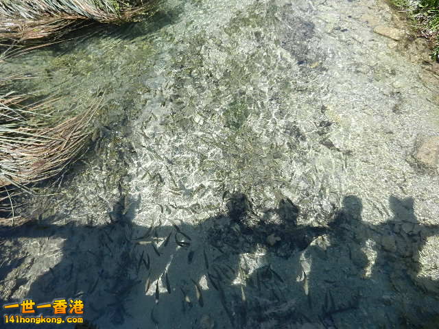 DSCN9068.JPG