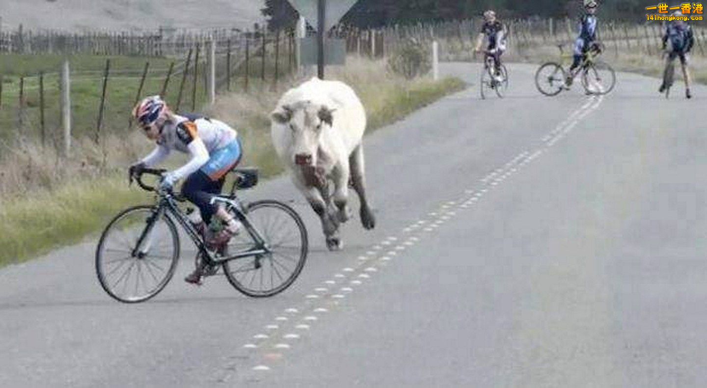 PREPARAN-LA-PRIMERA-GRAN-CARRERA-DE-LA-MONTAÑA.jpeg