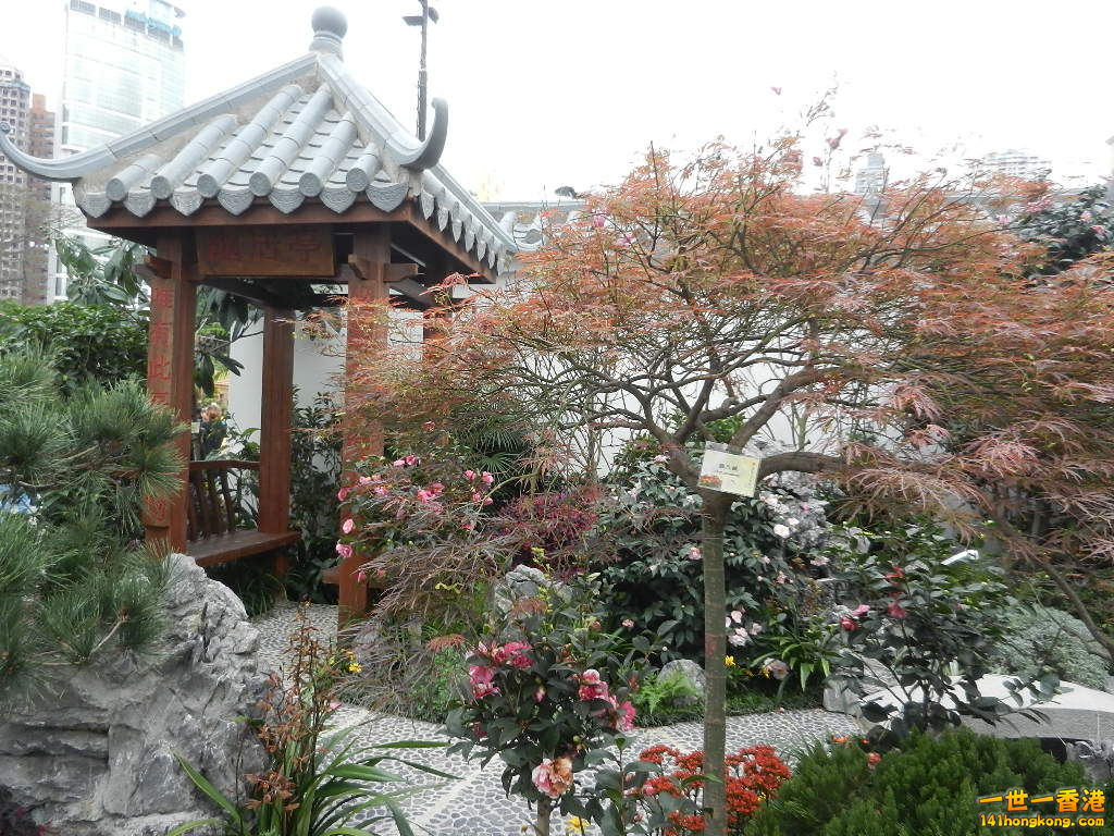 DSCN8522.JPG