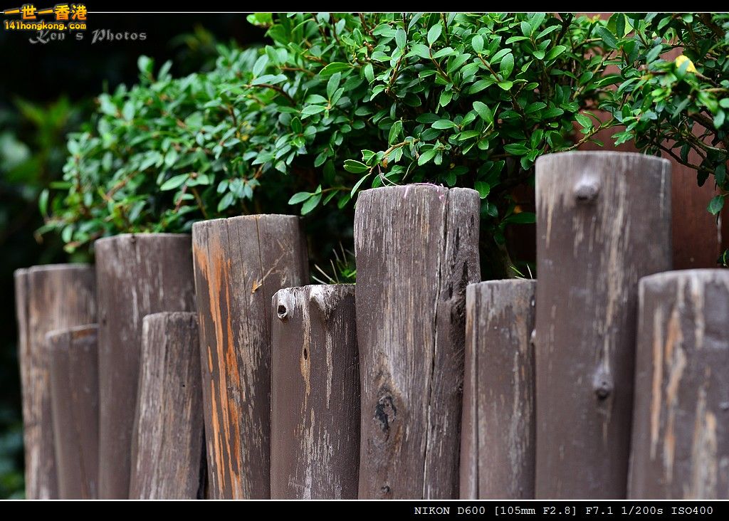 DSC_4026.jpg
