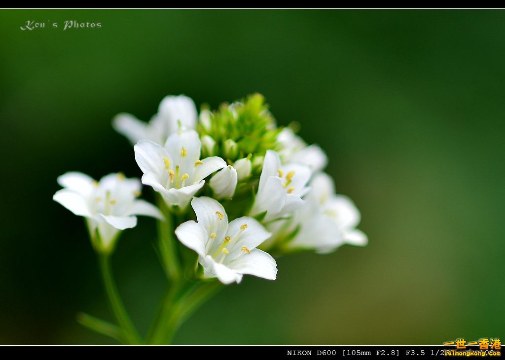 DSC_4030.jpg