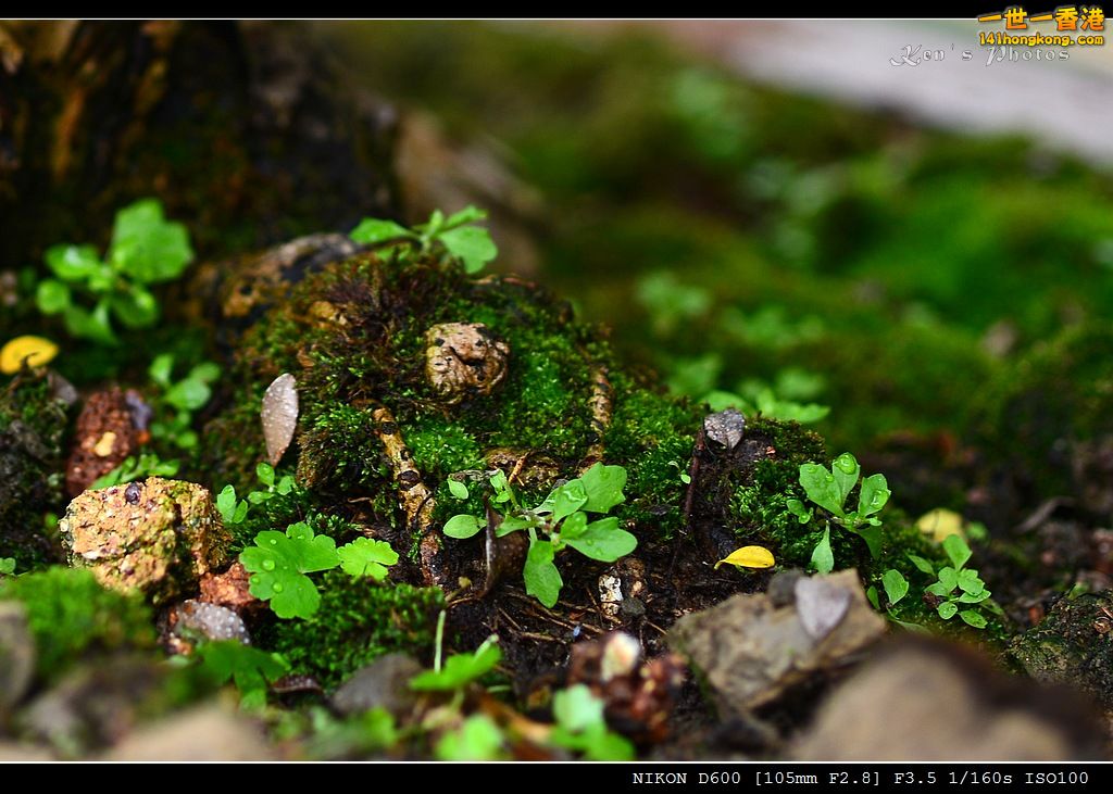 DSC_4046.jpg