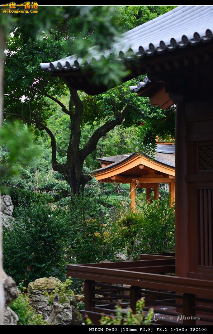 DSC_4055.jpg
