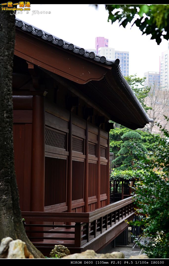 DSC_4060.jpg