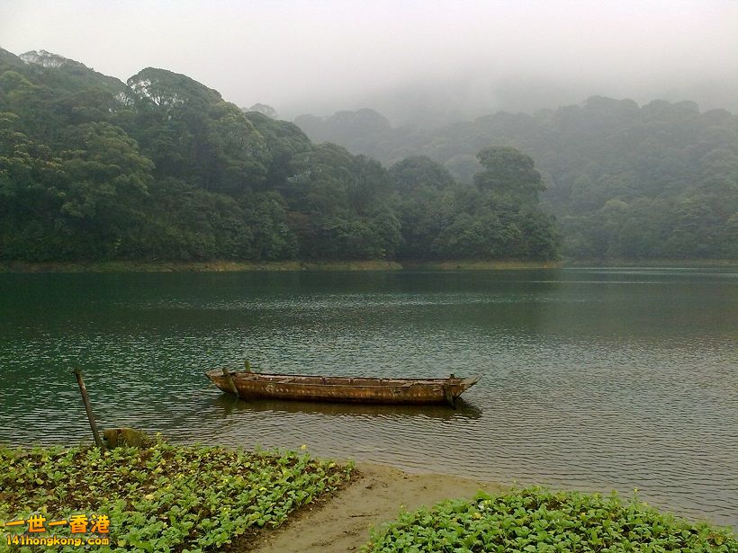 20100314309.jpg