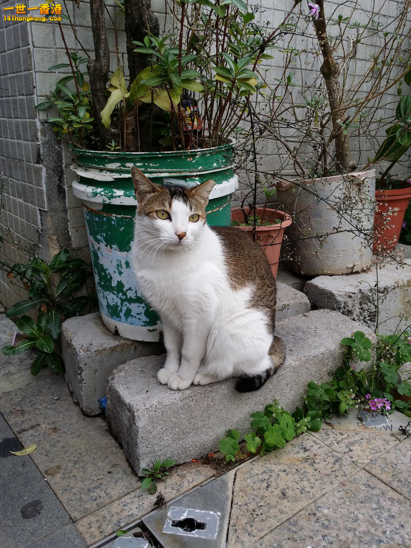 nEO_IMG_20140313_130013.jpg