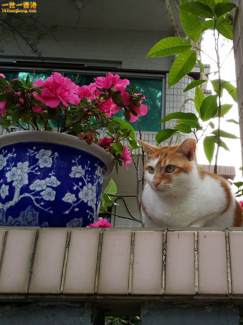 nEO_IMG_20140313_093608a.jpg