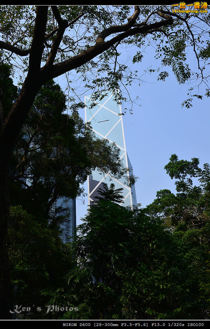 DSC_8236.jpg