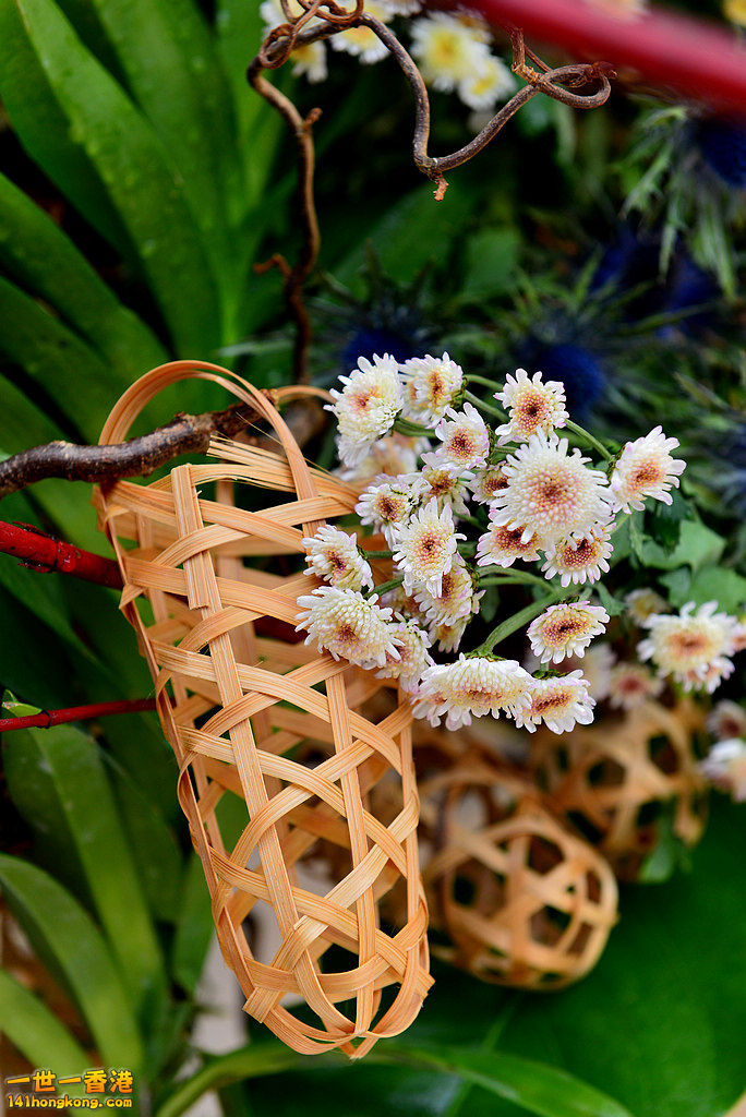 DSC_5283.jpg