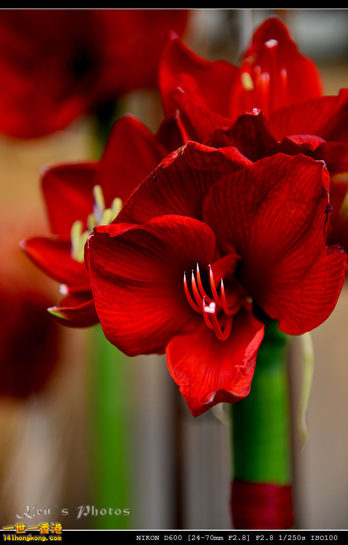 DSC_5319.jpg