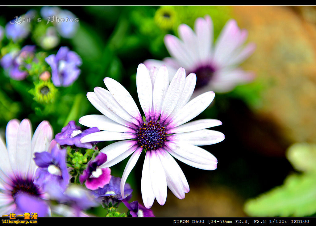 DSC_5325.jpg
