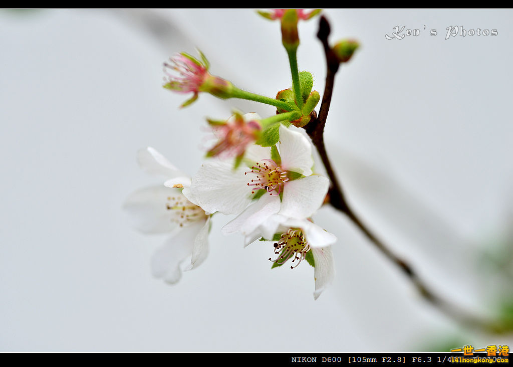 DSC_5454.jpg
