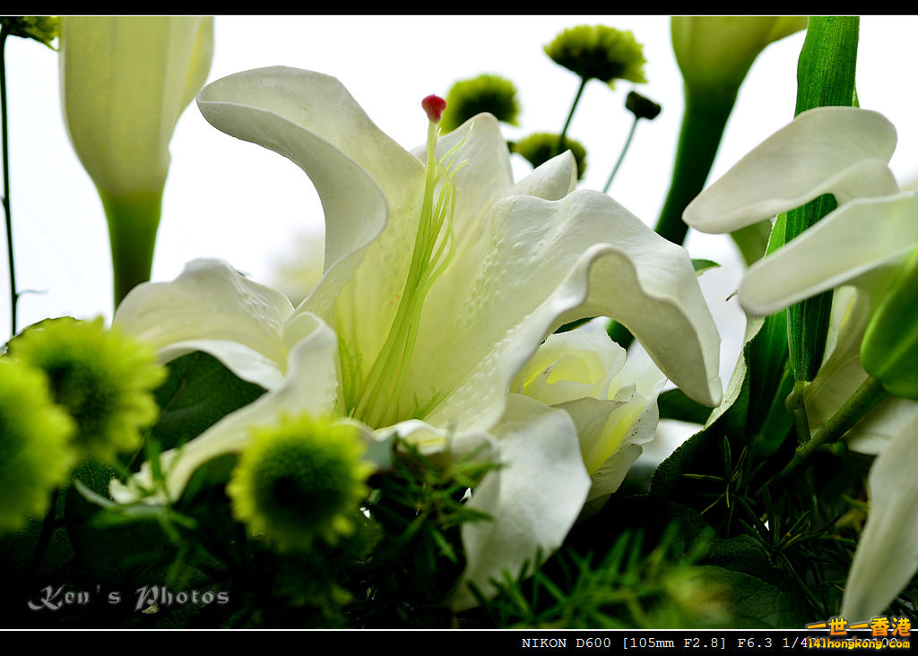 DSC_5517.jpg
