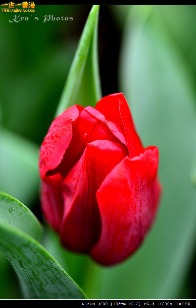 DSC_5533.jpg